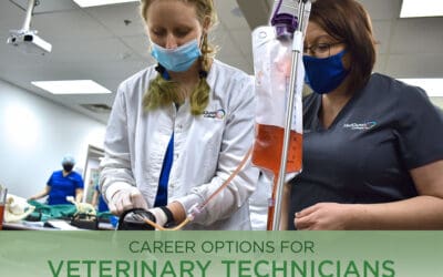 Career Options for Veterinary Technicians