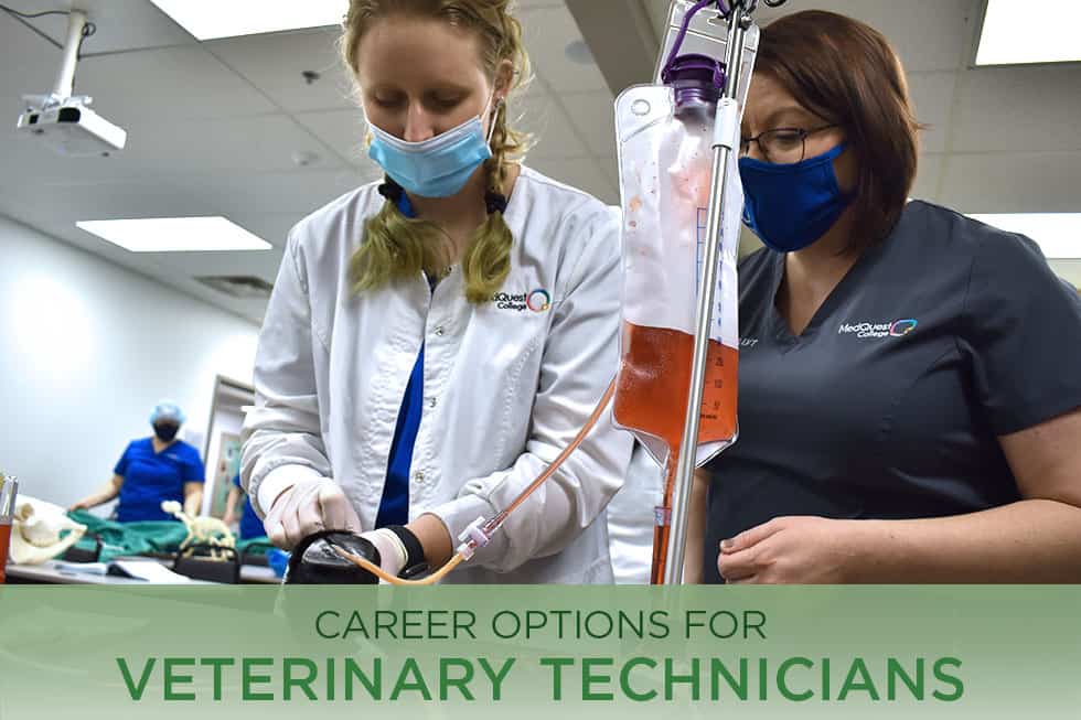 Career Options for Veterinary Technicians