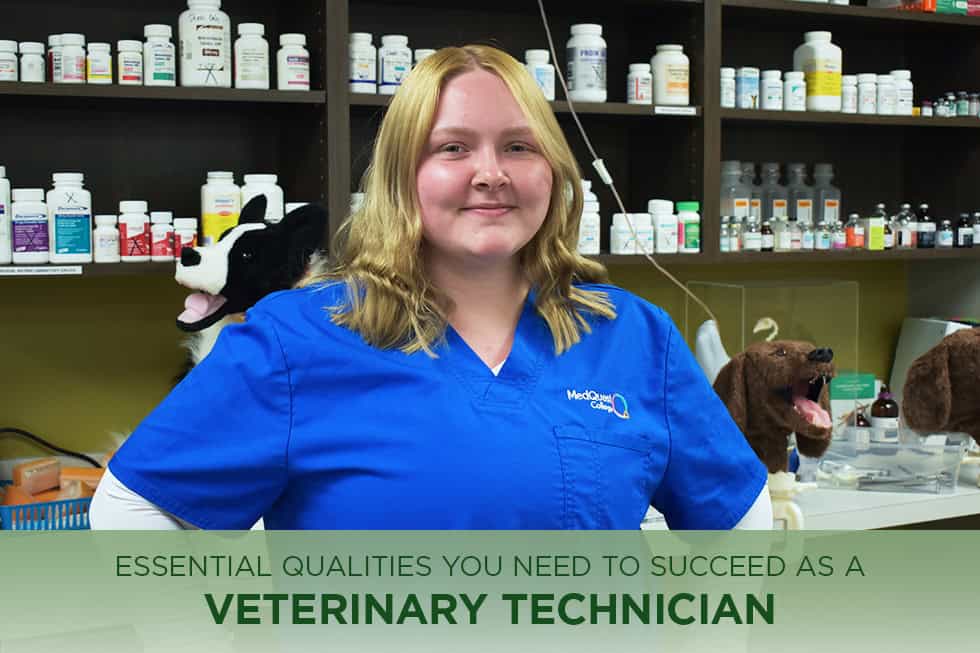 Essential Qualities as a Veterinary Technician