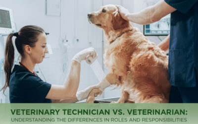 Veterinary Technician vs. Veterinarian: Understanding the Differences in Roles and Responsibilities