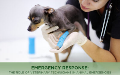 Emergency Response: The Role of Veterinary Technicians in Animal Emergencies