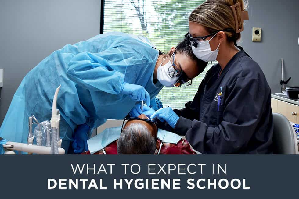 What to Expect in Dental Hygiene School
