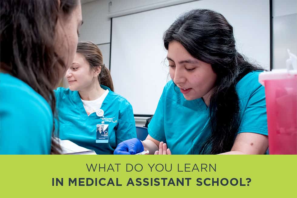 What Do You Learn in Medical Assistant School?